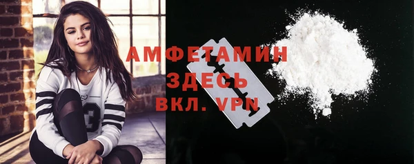 дмт Богданович