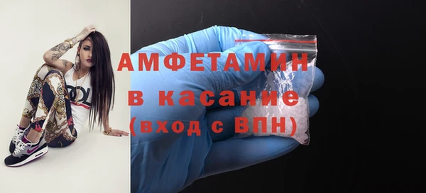 дмт Богданович