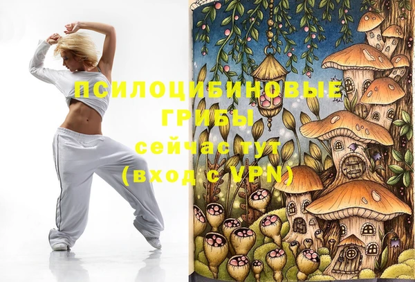 дмт Богородицк