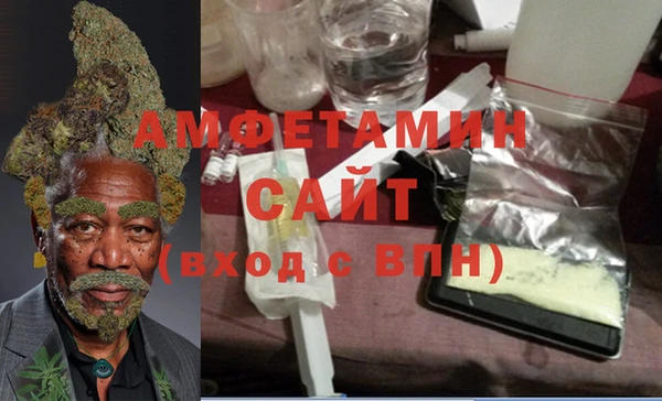 дмт Богданович
