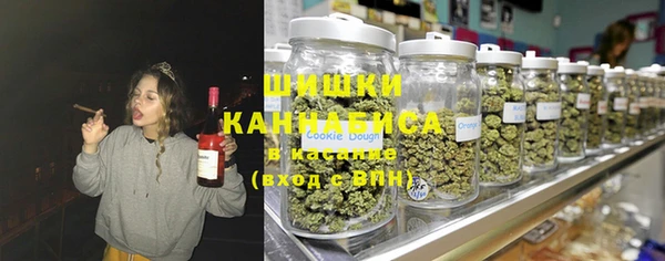 дмт Богородицк