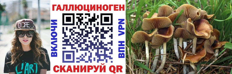 Галлюциногенные грибы MAGIC MUSHROOMS  Надым 