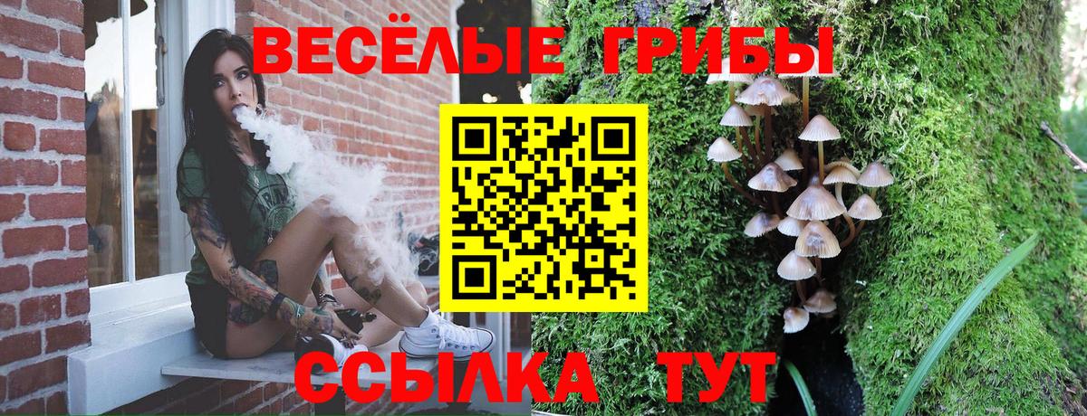 Галлюциногенные грибы Magic Shrooms  Вход с VPN  Надым 