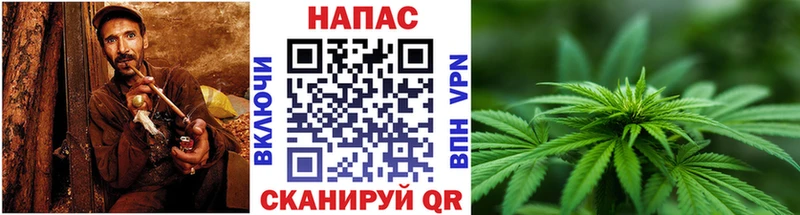 Бошки марихуана конопля  где продают   Надым 